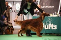 Crufts2011 839